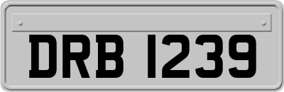 DRB1239