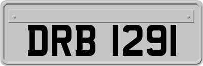DRB1291
