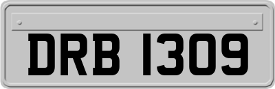 DRB1309