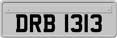 DRB1313