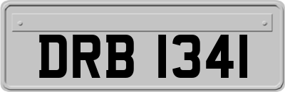 DRB1341