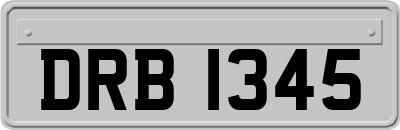 DRB1345