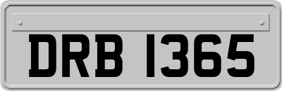 DRB1365