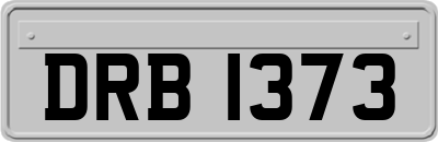 DRB1373