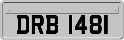 DRB1481