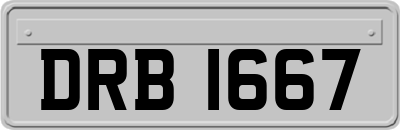DRB1667