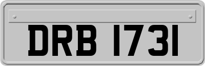 DRB1731