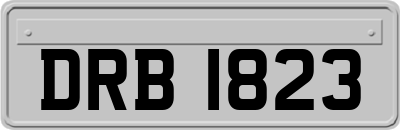 DRB1823