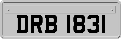 DRB1831