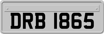 DRB1865