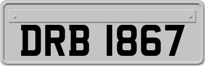 DRB1867