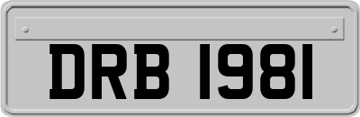 DRB1981