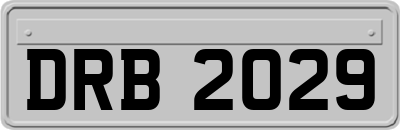 DRB2029