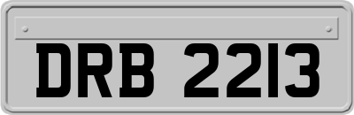 DRB2213