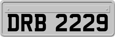 DRB2229