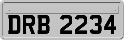 DRB2234