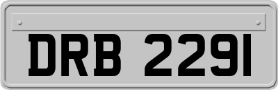 DRB2291