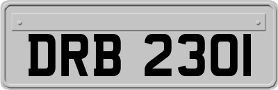 DRB2301