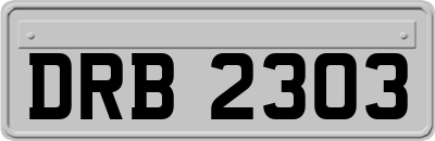 DRB2303