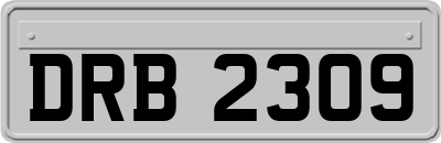 DRB2309