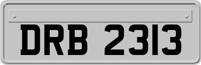 DRB2313