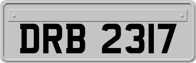 DRB2317
