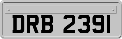 DRB2391