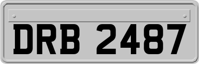 DRB2487