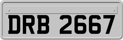 DRB2667