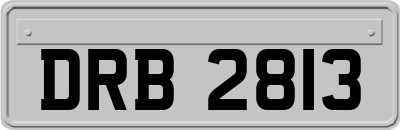 DRB2813
