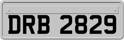 DRB2829