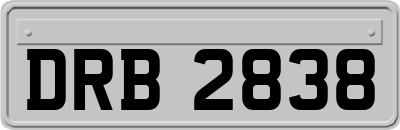 DRB2838