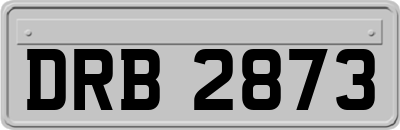 DRB2873
