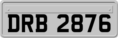 DRB2876
