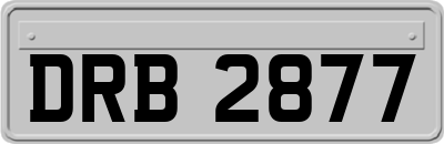 DRB2877