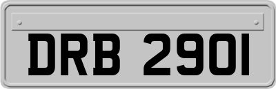 DRB2901