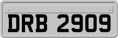 DRB2909