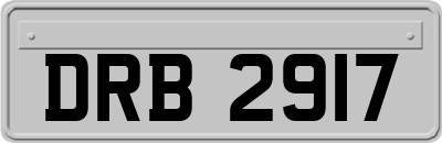 DRB2917
