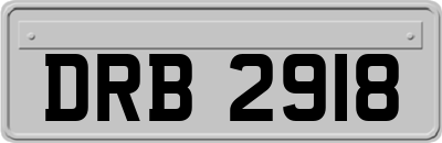 DRB2918
