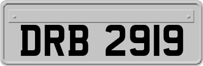 DRB2919