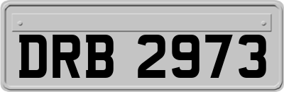 DRB2973