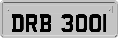 DRB3001