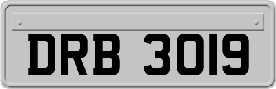 DRB3019