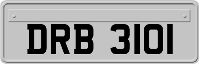 DRB3101