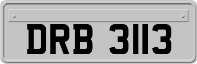 DRB3113