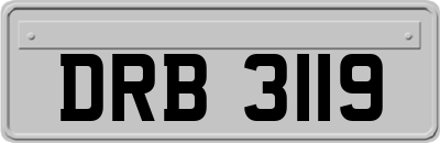 DRB3119