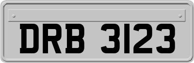 DRB3123