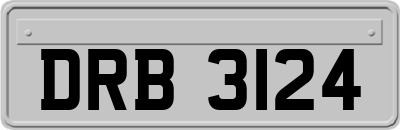 DRB3124
