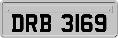 DRB3169