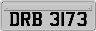 DRB3173